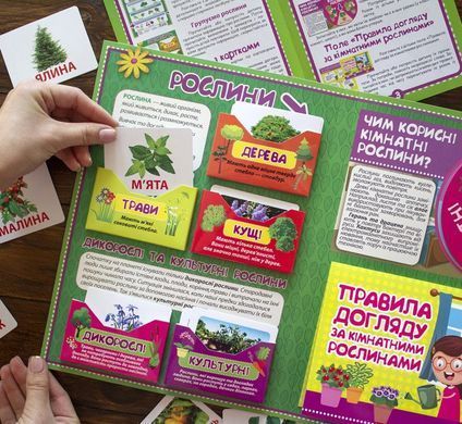 Міні-лепбук. Рослини