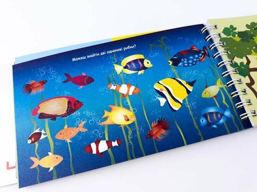 Цифри 4+. Розвиваючі блокнотики. Грайки