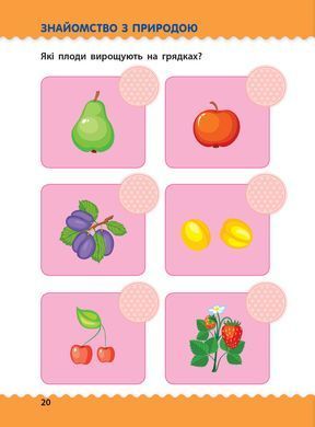 Обучалочка. Тесты с наклейками. 5-6 лет
