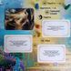Трансформационная игра &laquo;От тьмы к просветлению&raquo; Наталья Проценко