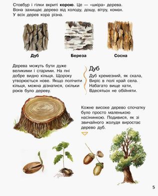 Енциклопедія дошкільника Ліс