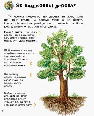 Енциклопедія дошкільника Ліс