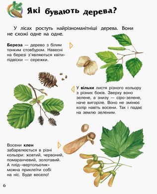 Енциклопедія дошкільника Ліс