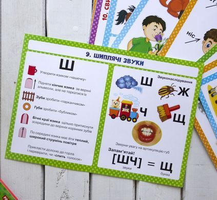 Логопедические таблицы. Органы речи. Артикуляция звуков 16 карт